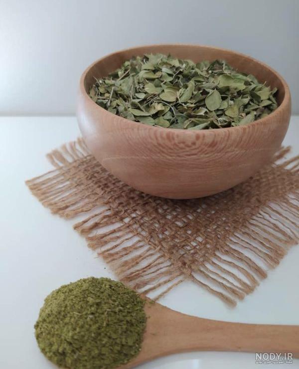 تصویر گیاه آویشن شیرازی تصویر گیاه آویشن شیرازی