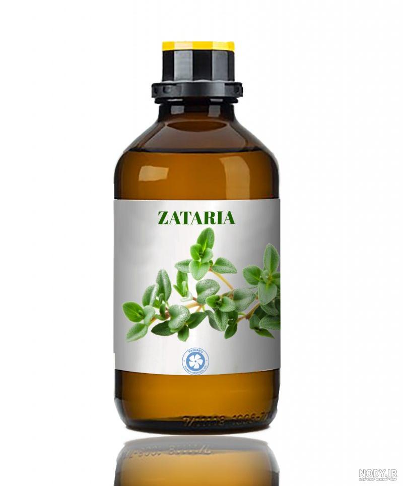 خرید و قیمت آویشن شیرازی آسیاب شده ( بسته 100 گرمی )سنتی سرای سبز | ترب خرید و قیمت آویشن شیرازی آسیاب شده ( بسته 100 گرمی )سنتی سرای سبز | ترب