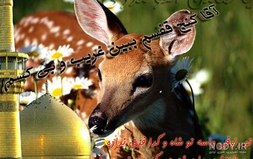 دلنوشته برای امام رضا کوتاه، طولانی و زیبا برای استوری + عکس نوشته