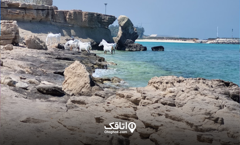 ساحل سرخ هرمز | هرمزگان | جزیره هرمز | عکس | آدرس + مسیر ساحل سرخ هرمز | هرمزگان | جزیره هرمز | عکس | آدرس + مسیر