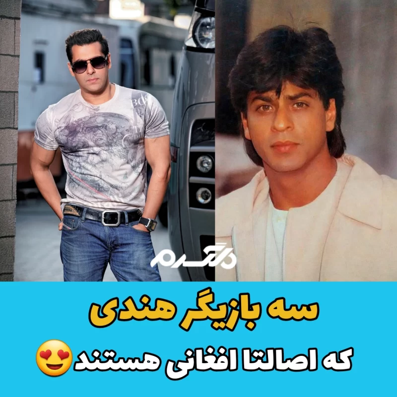 صدرالدین نجم‌الدین - ویکی‌پدیا، دانشنامهٔ آزاد