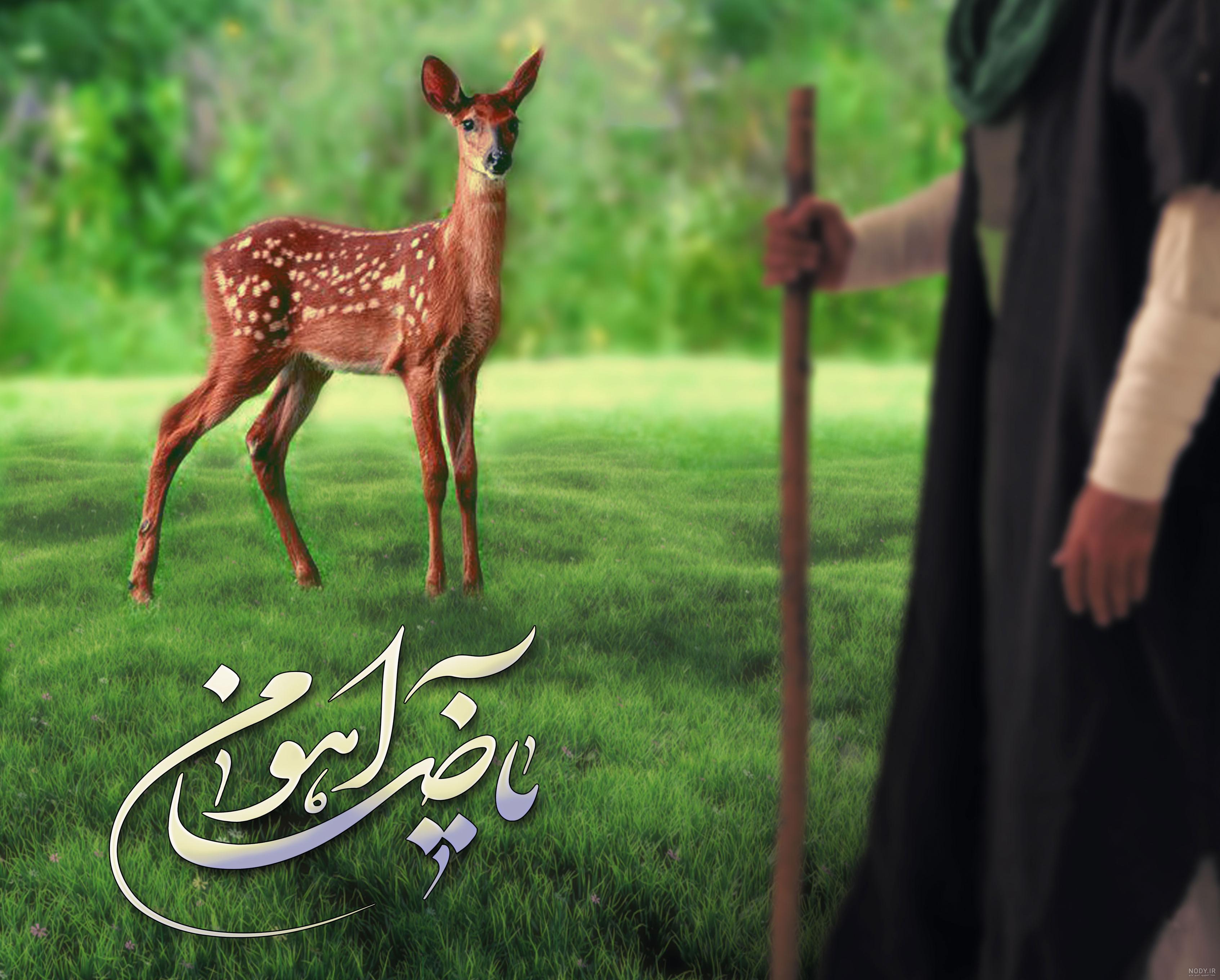 یا ضامن آهو