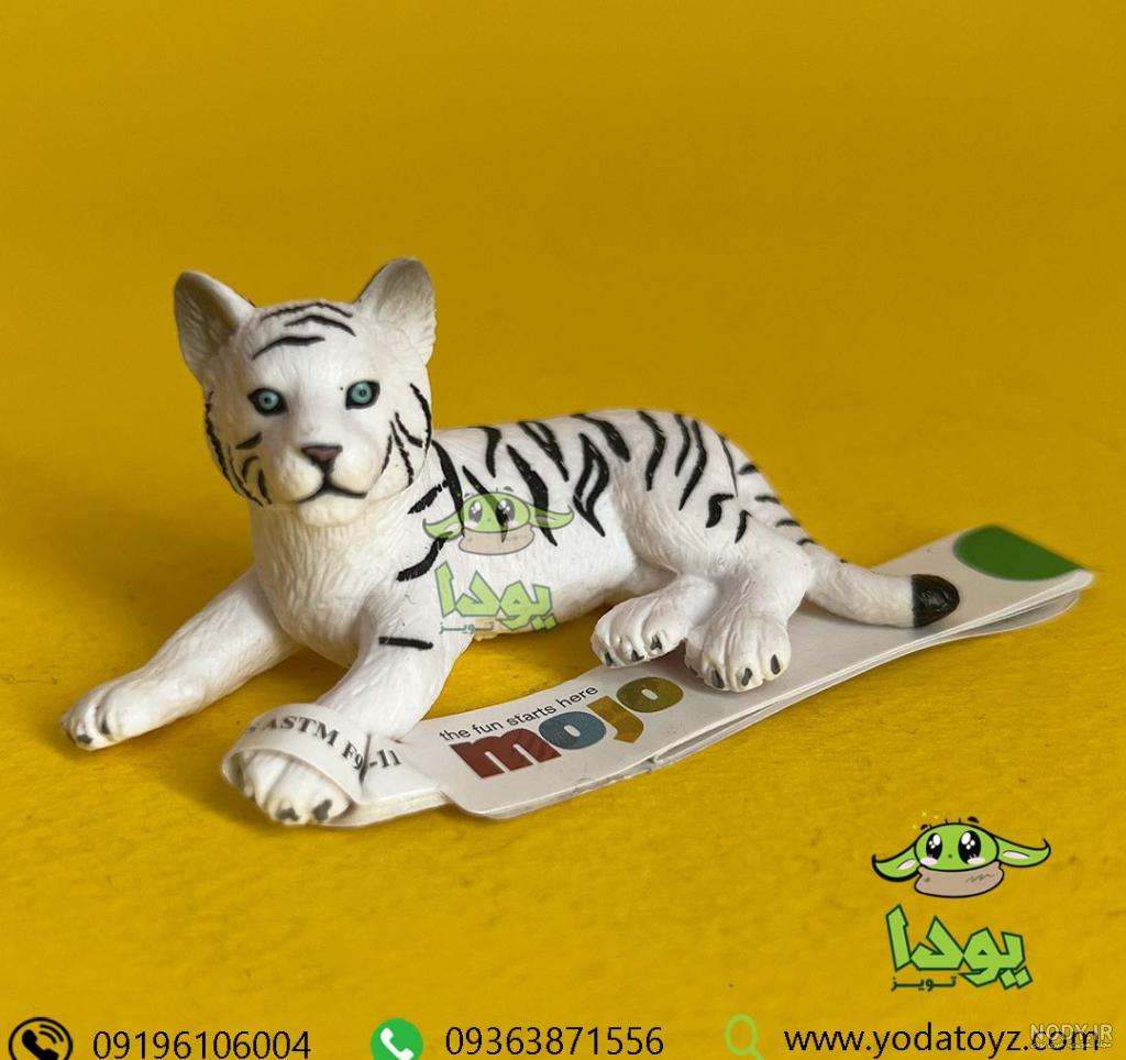 آخرین خبر | عکس/ تکثیر ببر سفید در باغ وحشی در چین