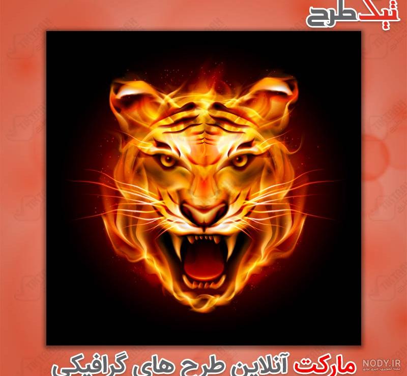 احیای «ببر تاسمانی» پس از انقراض دائمی - ایمنا احیای «ببر تاسمانی» پس از انقراض دائمی - ایمنا