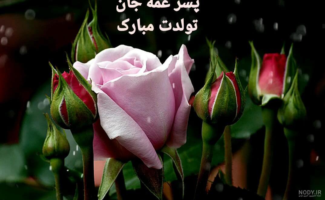 عکس تولد پسر عمه تولدت مبارک