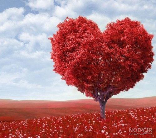 عکس های زیبای عاشقانه بدون متن