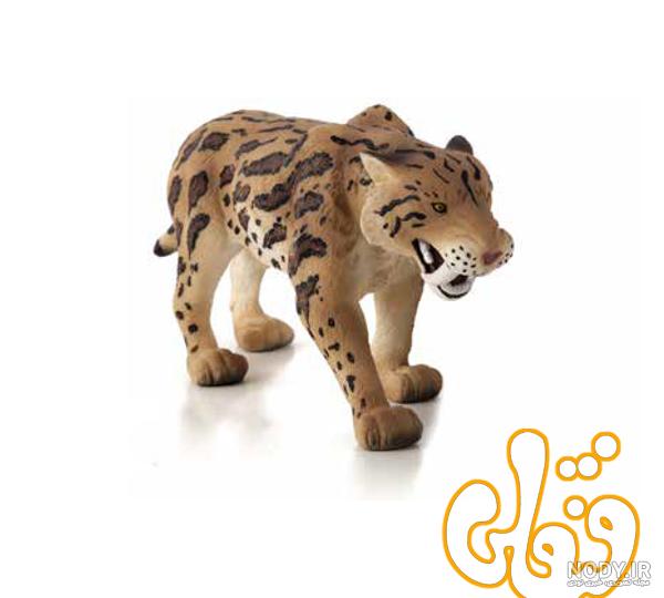 مشرق نیوز - عکس/ ببر دندان طلا مشرق نیوز - عکس/ ببر دندان طلا