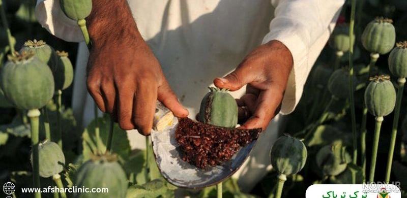 بعضی از نشانه ها و علائم افراد معتاد به تریاک و شیره :: سلام زندگی ! بعضی از نشانه ها و علائم افراد معتاد به تریاک و شیره :: سلام زندگی !