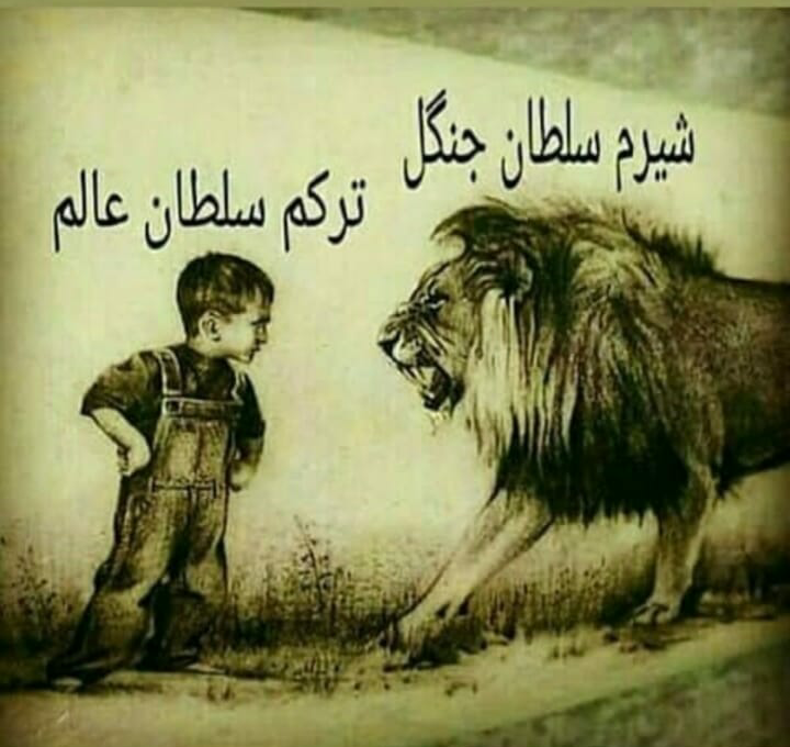 عکس تورک اوشاخلاری