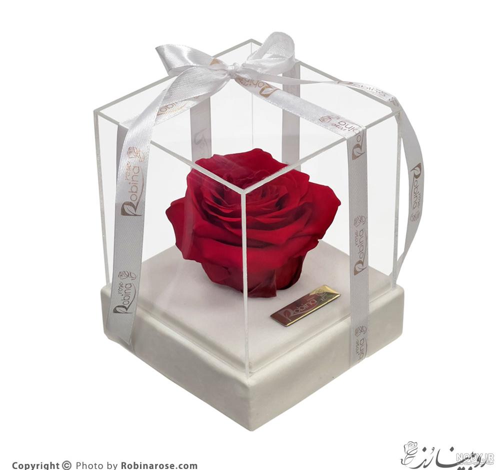 هدیه سالگرد ازدواج برای دوست | +40 ایده خاص و به یاد ماندنی هدیه سالگرد ازدواج برای دوست | +40 ایده خاص و به یاد ماندنی