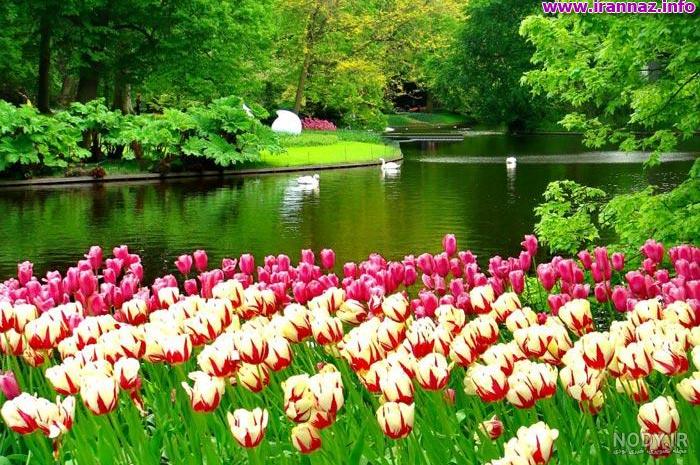 عکس خدا در بهشت عکس خدا در بهشت