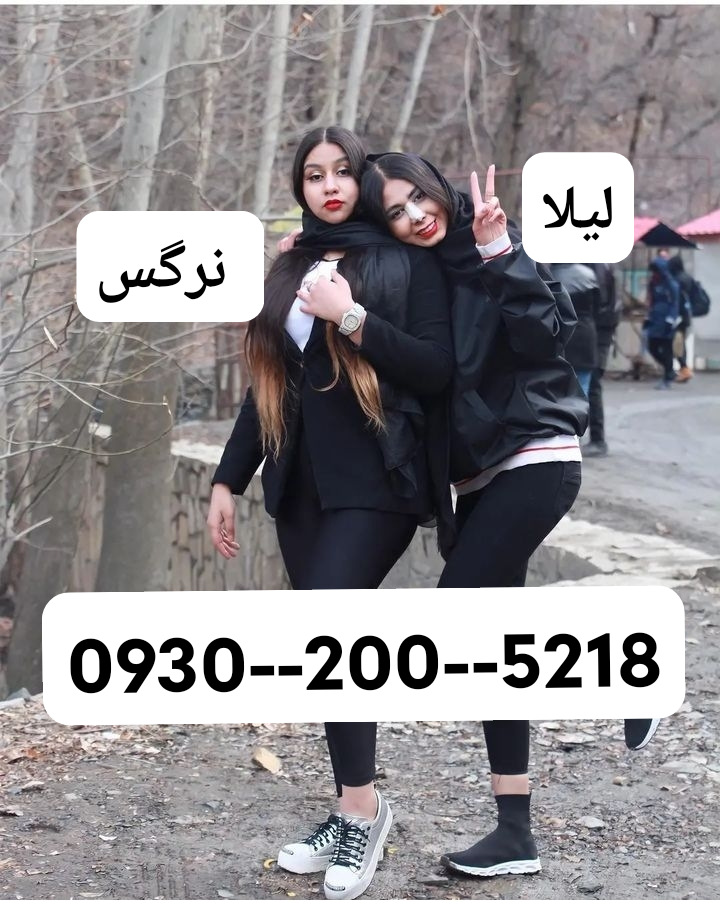 عکس گربه گوگولی واقعی + عکس گربه کوچولو بامزه و کیوت عکس گربه گوگولی واقعی + عکس گربه کوچولو بامزه و کیوت