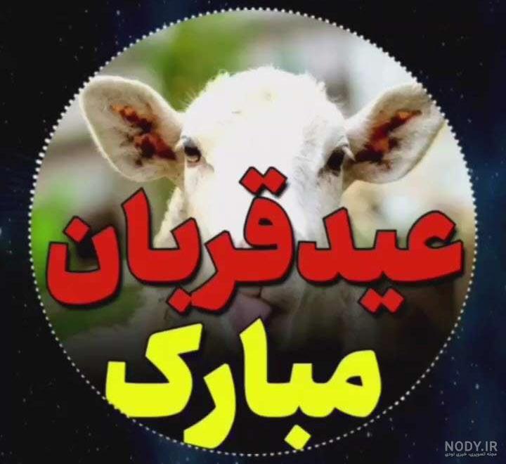 عکس طنز عید قربان