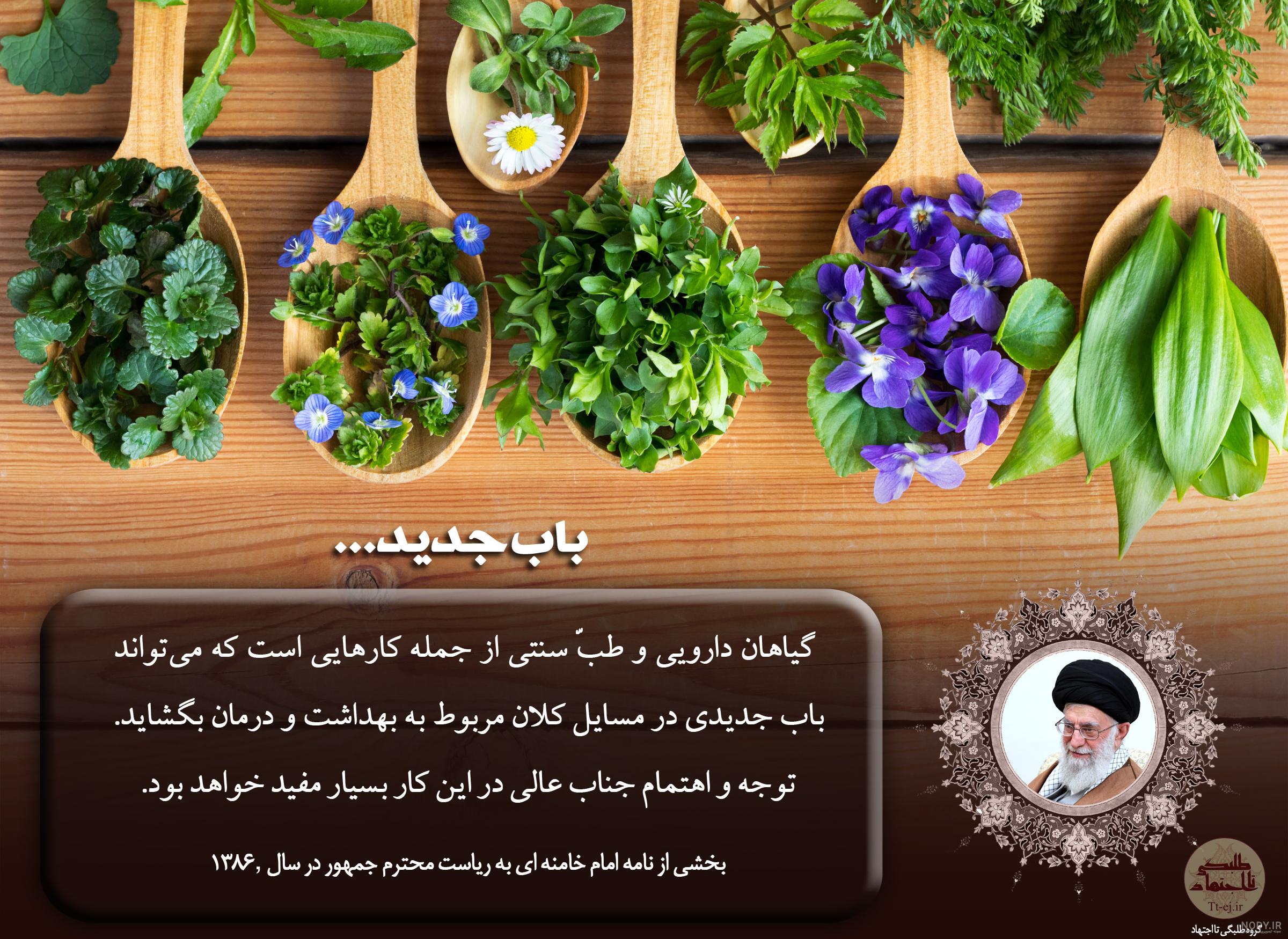 همه چیز درباره مصرف آلبالو +عکس نوشته های طب سنتی | ضیاءالصالحین