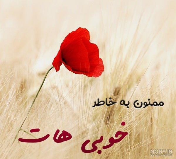 جملات عاشقانه برای شوهر + متن زیبا و احساسی برای شوهرم