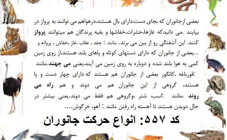 خرید و قیمت دانلود عکس استوک کیفیت بالای حیوانات اهلی | ترب