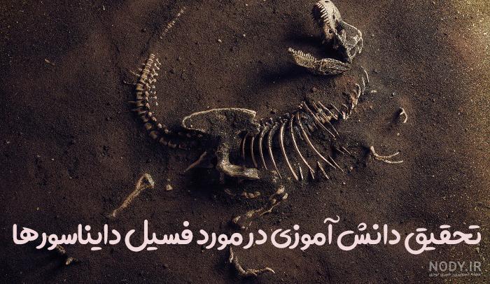 فسیل چیست؟ (همه چیز درباره فسیل - سنگواره) - ستاره