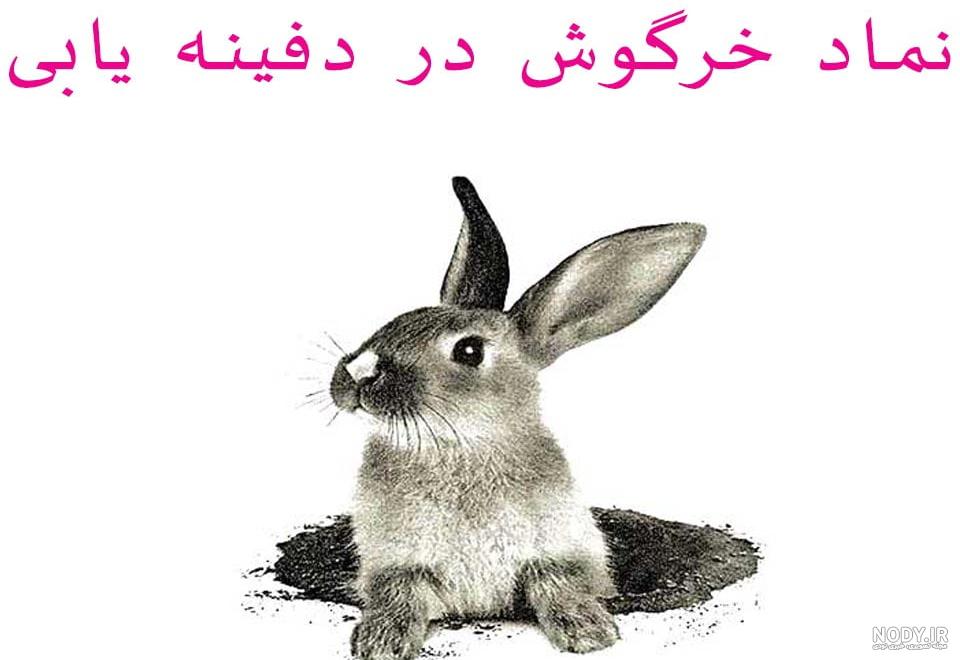 معنی لوگوی خرگوش