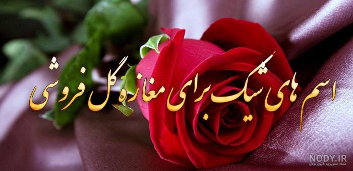 عکس گل سفید صورتی