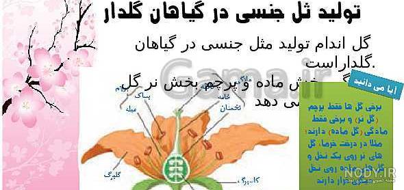 توليد مثل عکس های داخل کتاب علوم هشتم