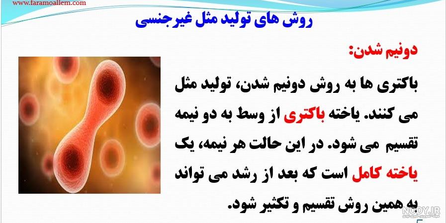 توليد مثل عکس های درس 8 علوم هشتم