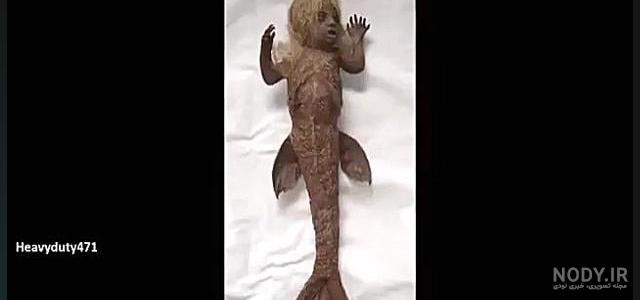 عکس پری دریایی واقعی زنده در خلیج فارس عکس پری دریایی واقعی زنده در خلیج فارس