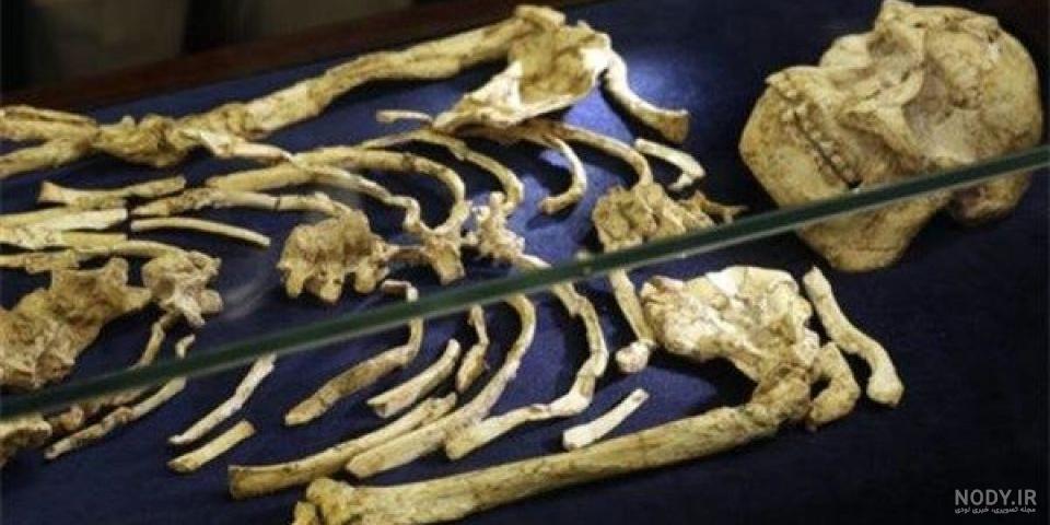 ادعای جدید برای اثبات قدمت ۷ هزار ساله تهران +عکس - مشرق نیوز ادعای جدید برای اثبات قدمت ۷ هزار ساله تهران +عکس - مشرق نیوز