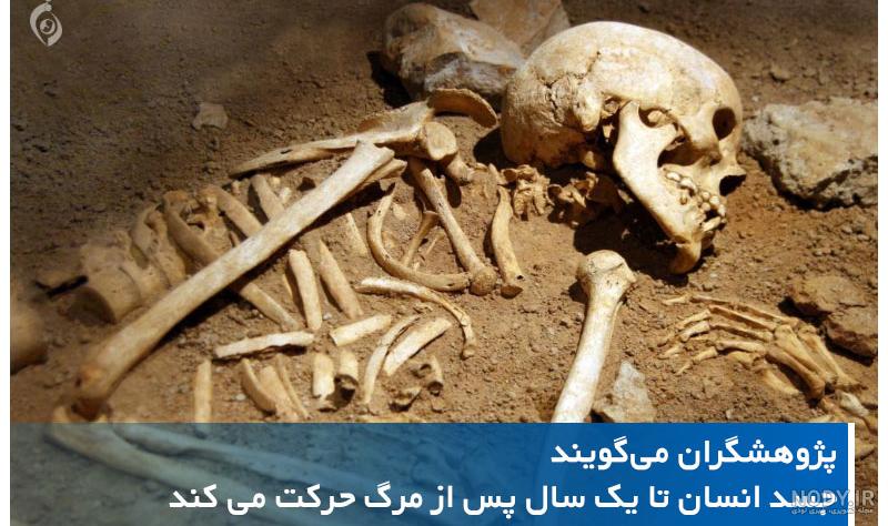 عکس اسکلت انسان زیر خاک عکس اسکلت انسان زیر خاک