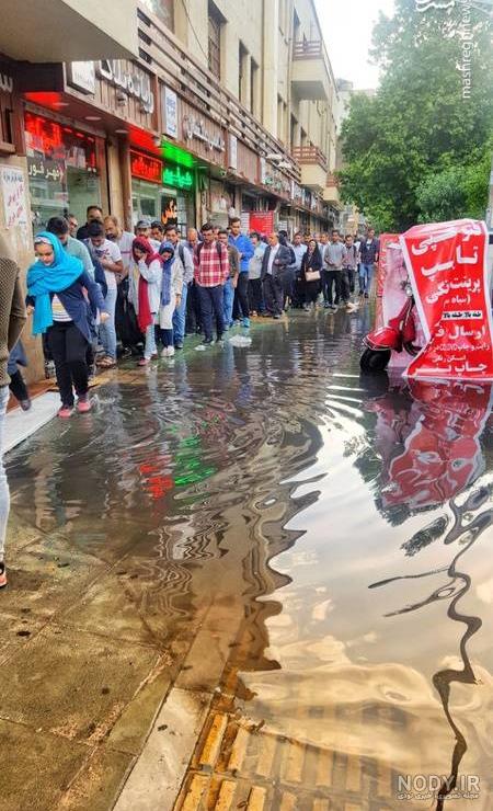 آلبوم عکس؛ روزهای بارانی اسفند در شیراز | آبان‌پرس