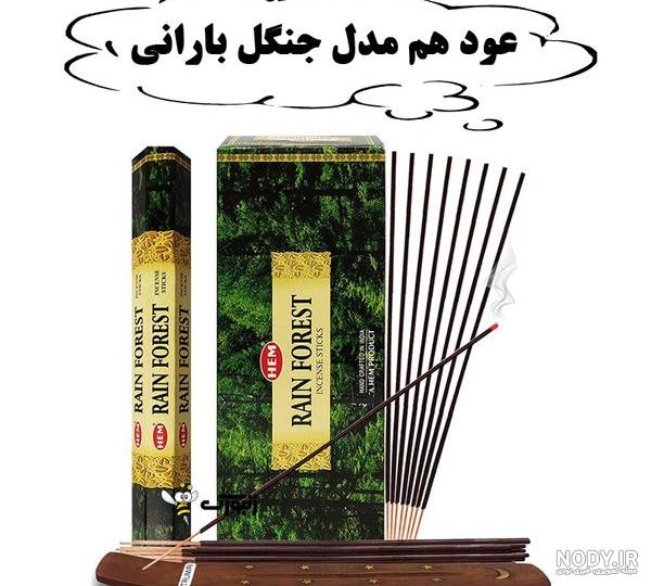 خرید و قیمت عود شاخه ای جنگل بارانی (رین فورست) از غرفه چوبین دکور