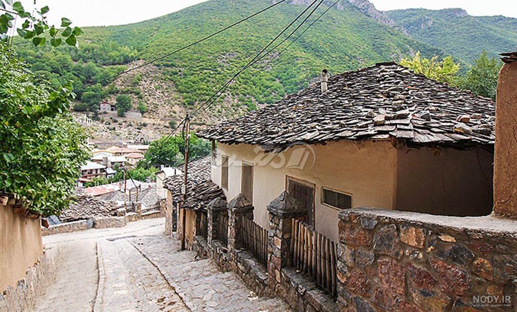 عکس مینا و پلنگ کندلوس
