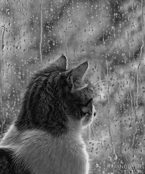 عکس نوشته مخصوص هوای بارانی عکس نوشته مخصوص هوای بارانی