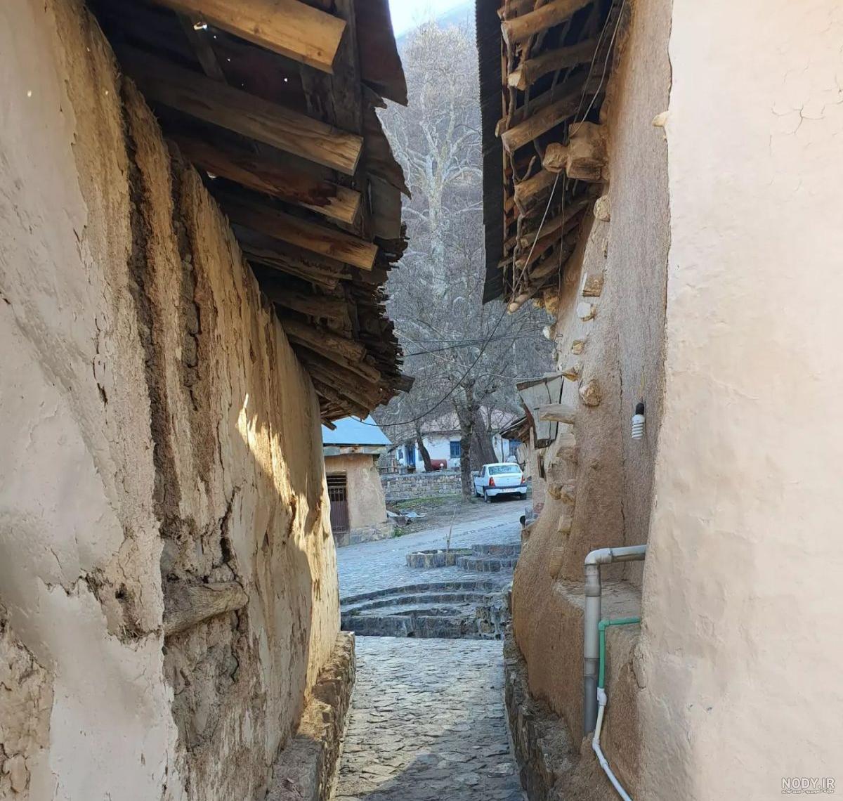 عکس واقعی مینا پلنگ