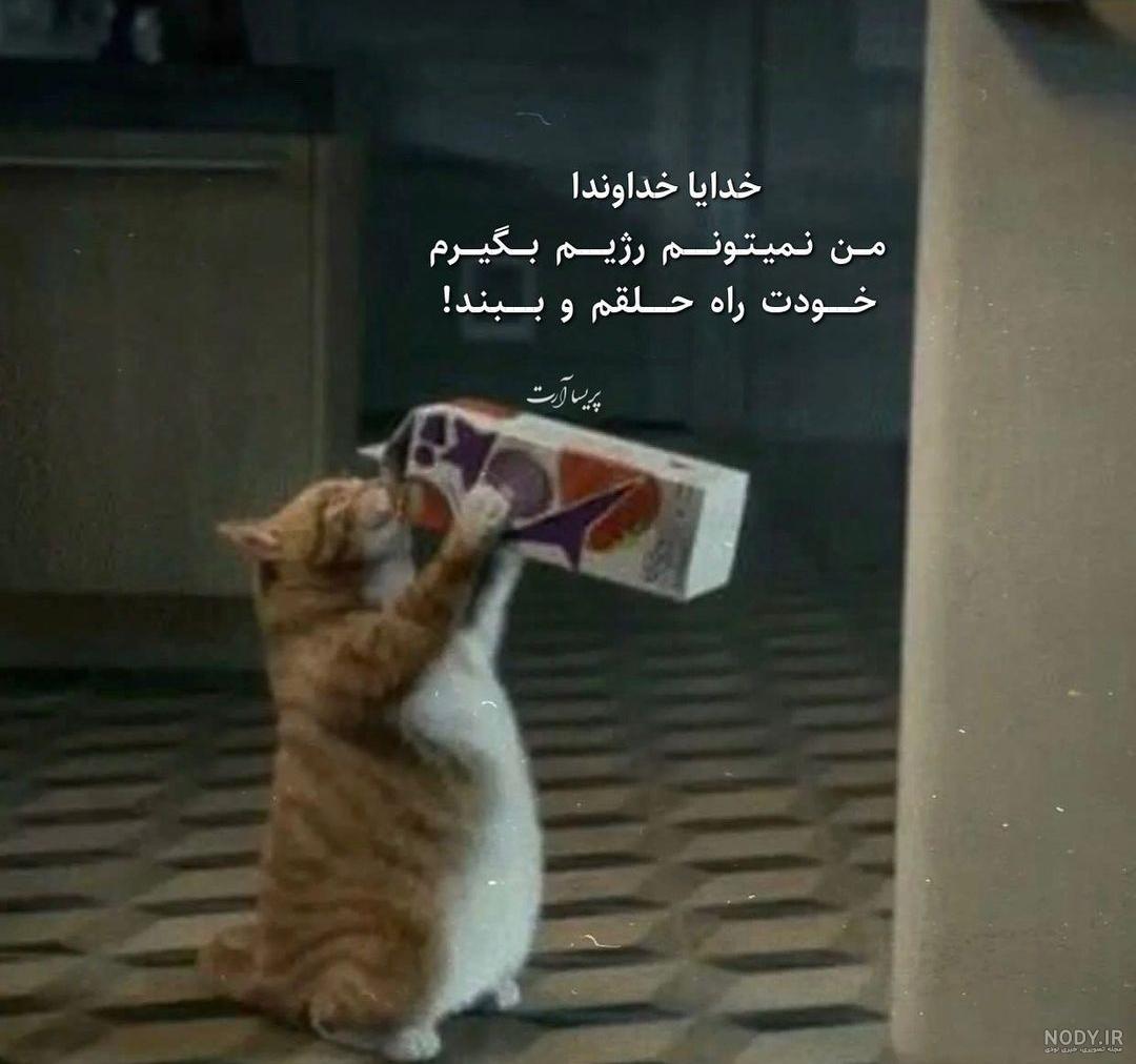 عکسهاي جالب و خنده دار از مدلهاي شلوار