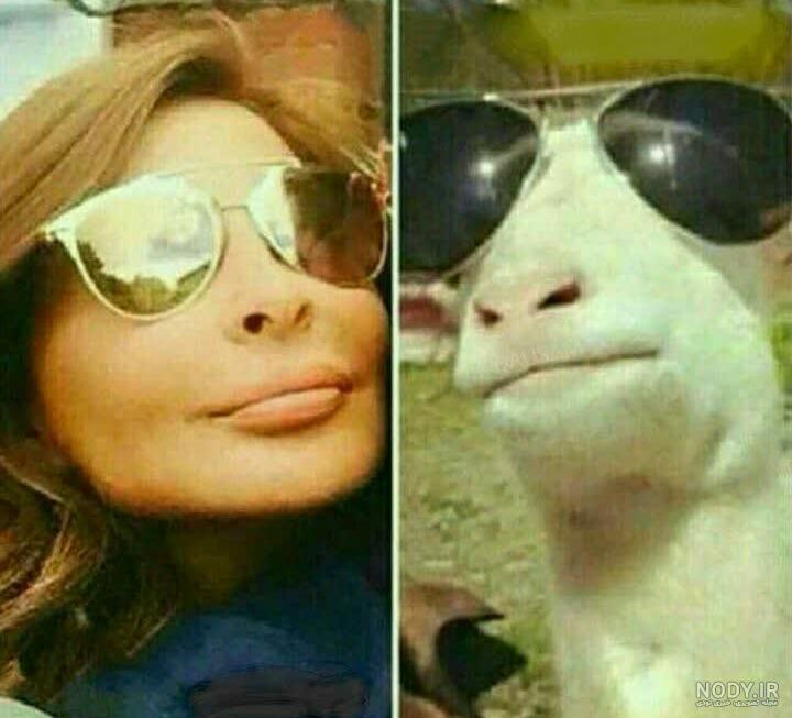 عکس خنده دار با عینک دودی