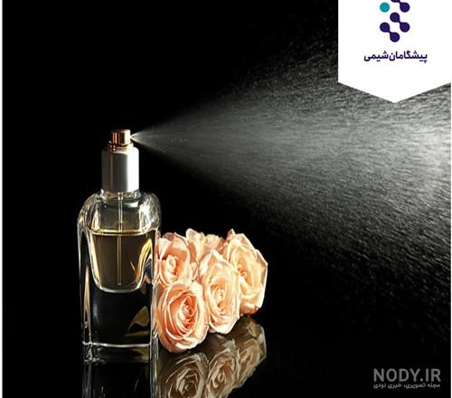 نمونه کار لوگو عطر و ادکلن