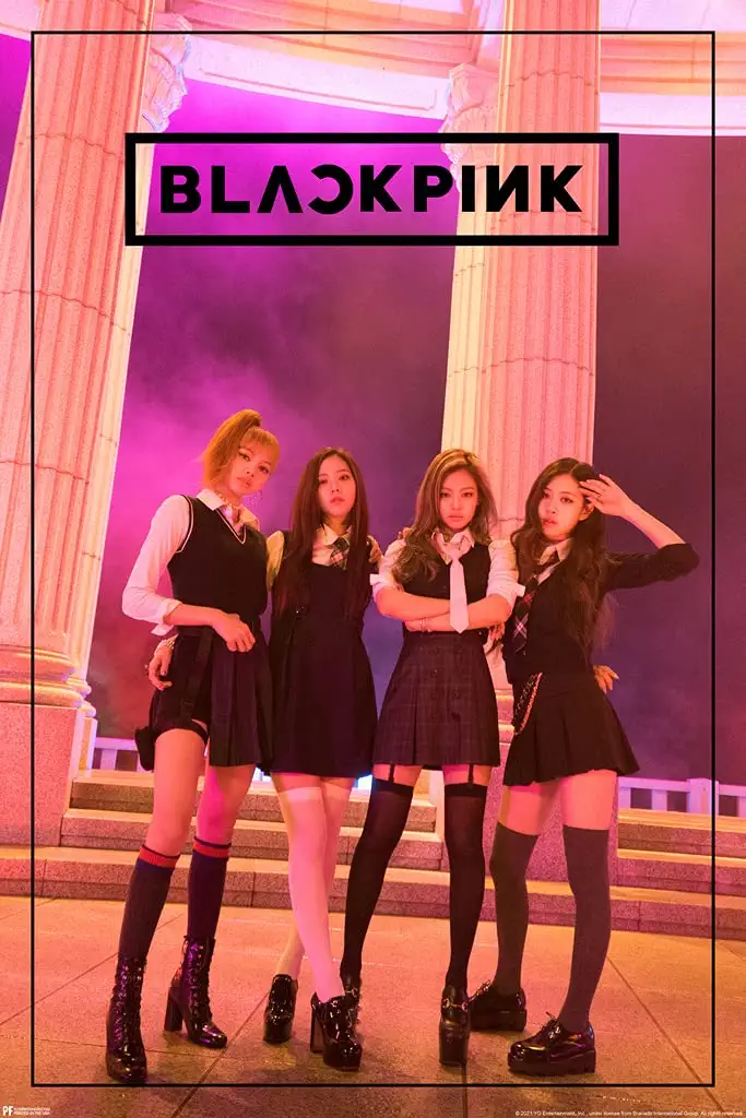 بیوگرافی اعضای گروه بلک پینک (Blackpink) با ناگفته ها بیوگرافی اعضای گروه بلک پینک (Blackpink) با ناگفته ها