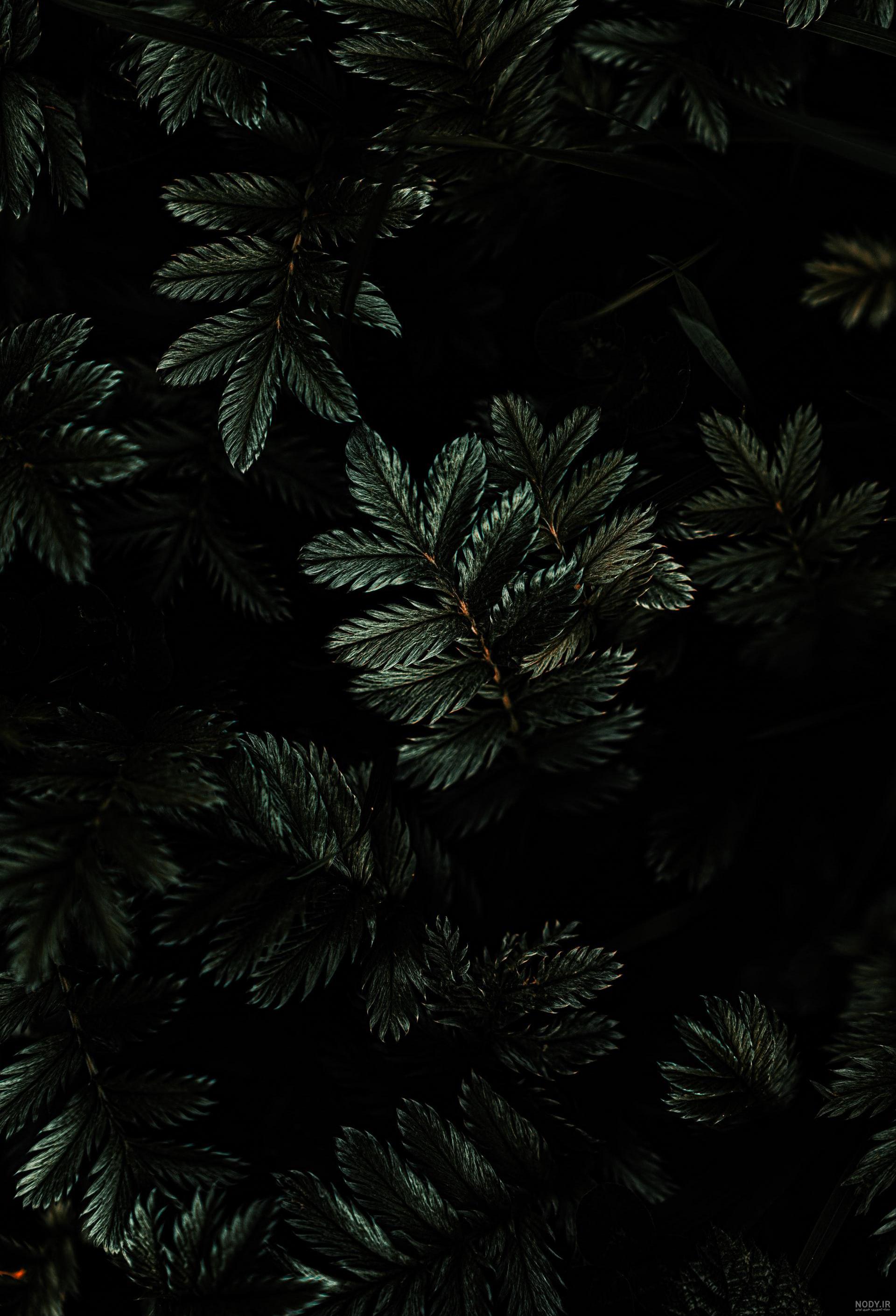 دانلود تصویر زمینه مشکی Black Wallpaper برای موبایل + 180 عکس با کیفیت | ایران اپ دانلود تصویر زمینه مشکی Black Wallpaper برای موبایل + 180 عکس با کیفیت | ایران اپ