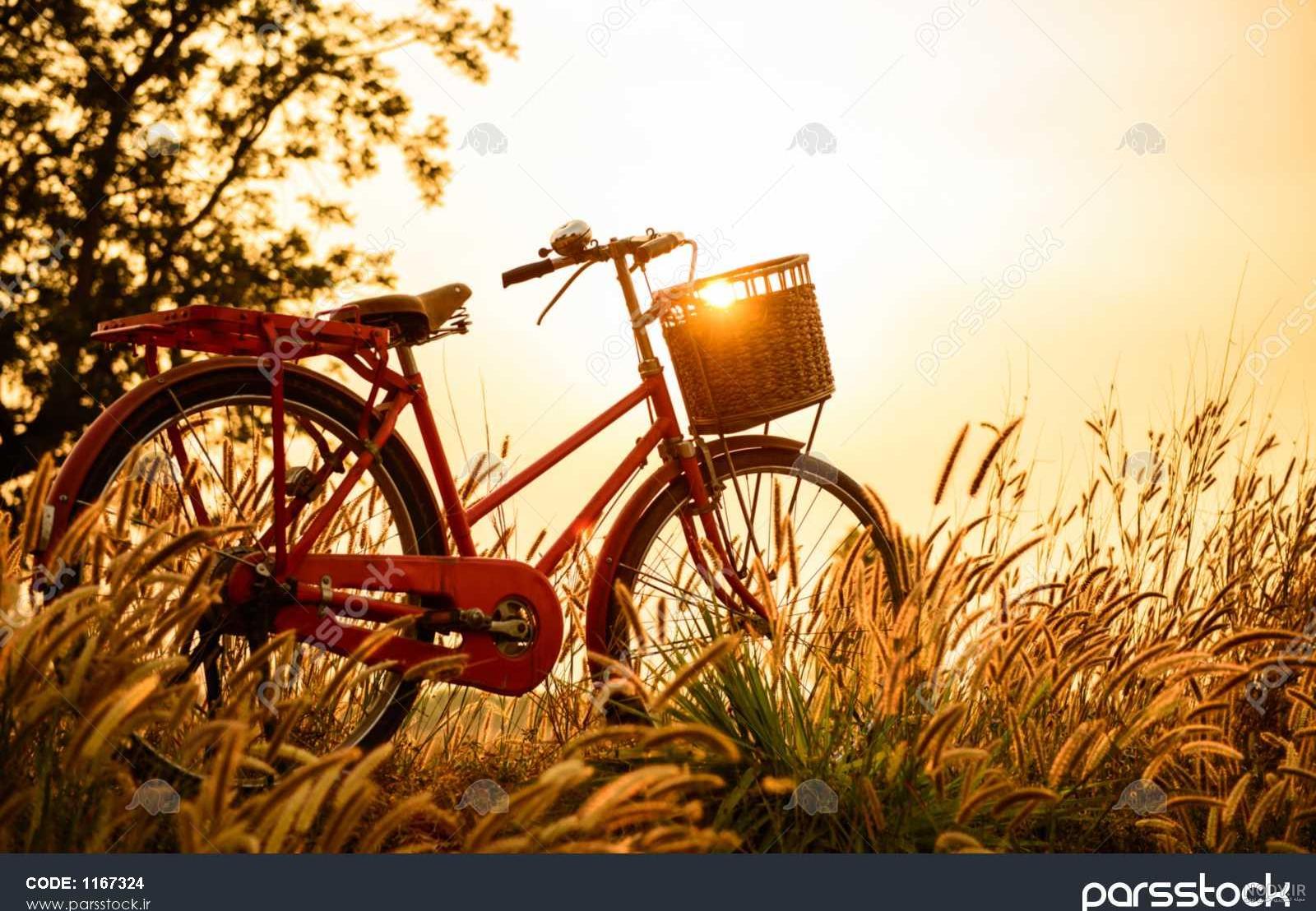 عکس دوچرخه در طبیعت - عکس نودی