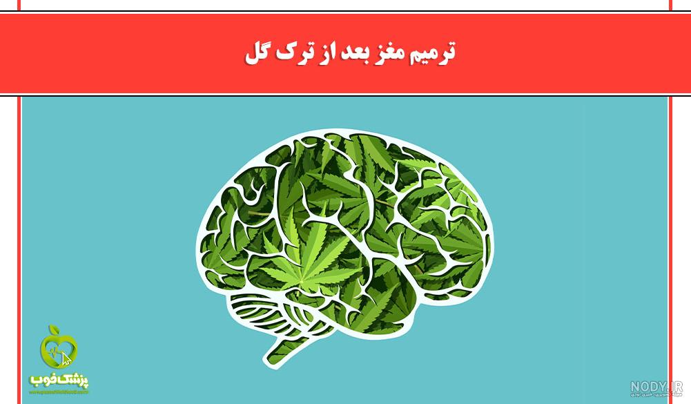 با دیدن این ویدئو شما عقلتان را از دست خواهید داد. ۵ ویدئوی توهم زا!!!