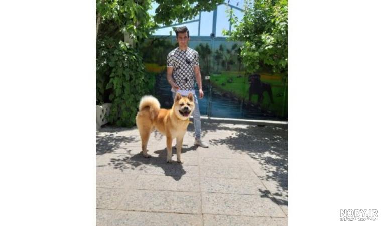 داستان زندگی سگی وفادار به نام هاچیکو (The Story of Hachiko) – استخوان  نارنجی