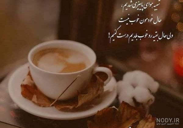 عکس دو فنجان چای عاشقانه - عکس نودی
