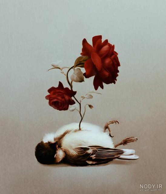 عکس گل پرپر شده غمگین