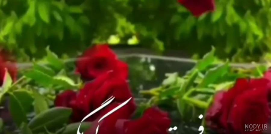 غمگین ترین نوشته روی سنگ قبر جوان ناکام 🪦+ سوزناک ترین جملات و اشعار -  ماگرتا