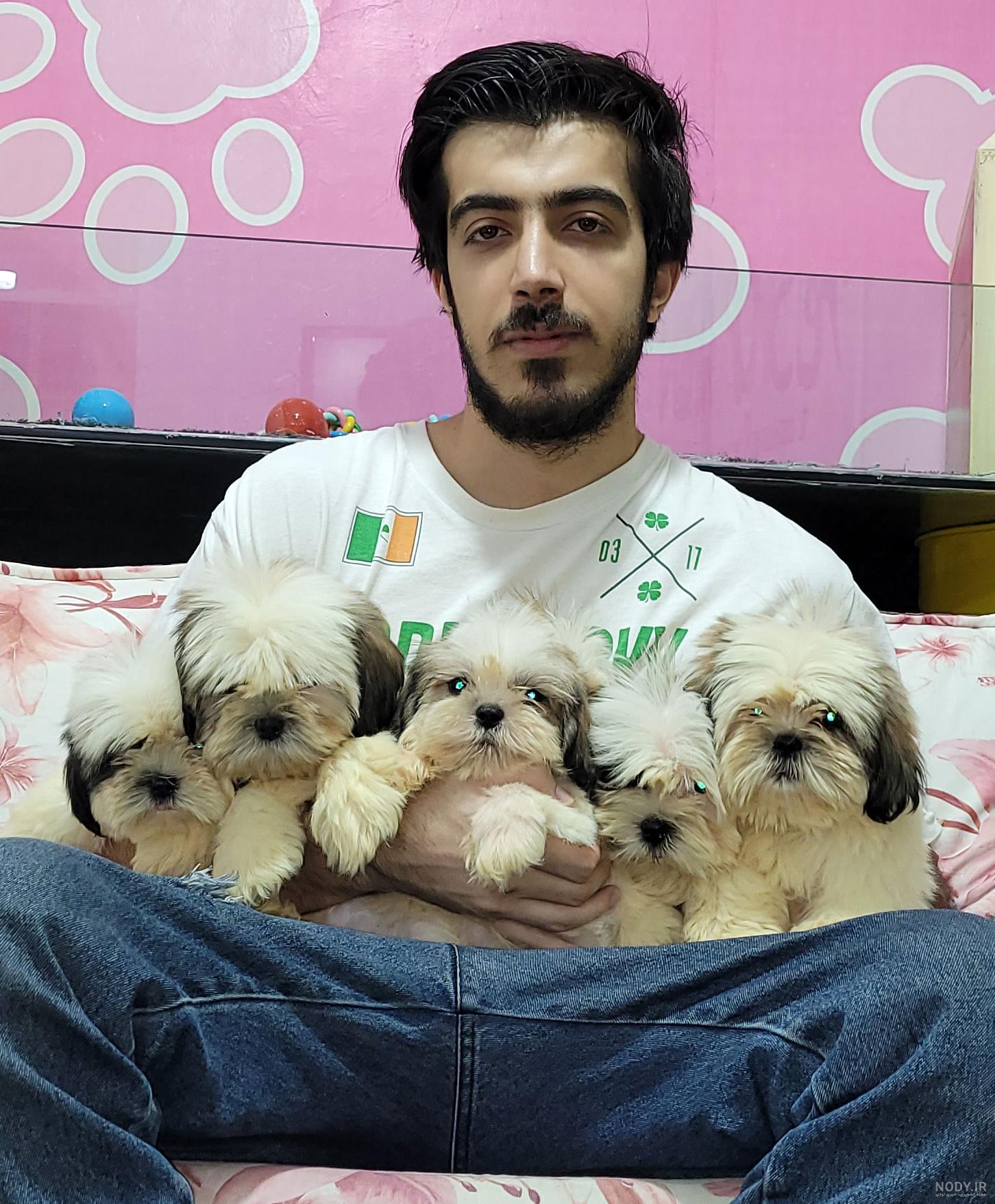مشخصات کامل، قیمت و خرید نژاد سگ شیتزو (Shih Tzu) | پت راید مشخصات کامل، قیمت و خرید نژاد سگ شیتزو (Shih Tzu) | پت راید