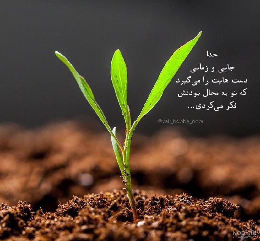 خدایا شکرت | 130 عکس نوشته «خدایا شکرت» برای پروفایل - دلبرانه