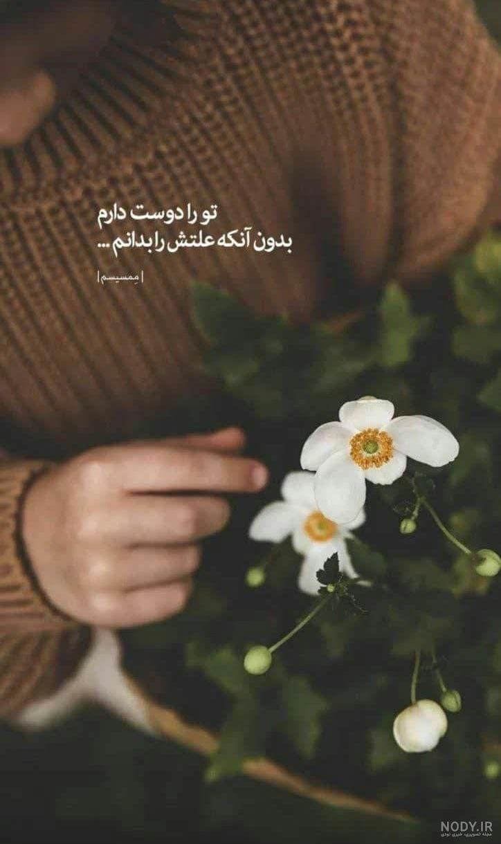 عکس های زیبا برای پروفایل | عکس پروفایل - Tjoor عکس های زیبا برای پروفایل | عکس پروفایل - Tjoor