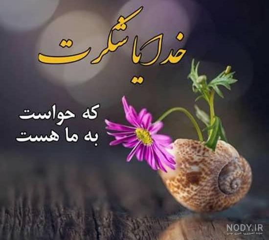 متن در مورد شکرگزاری خدا 🙏+ متن‌ های زیبا درباره سپاسگزاری از الطاف الهی -  ماگرتا