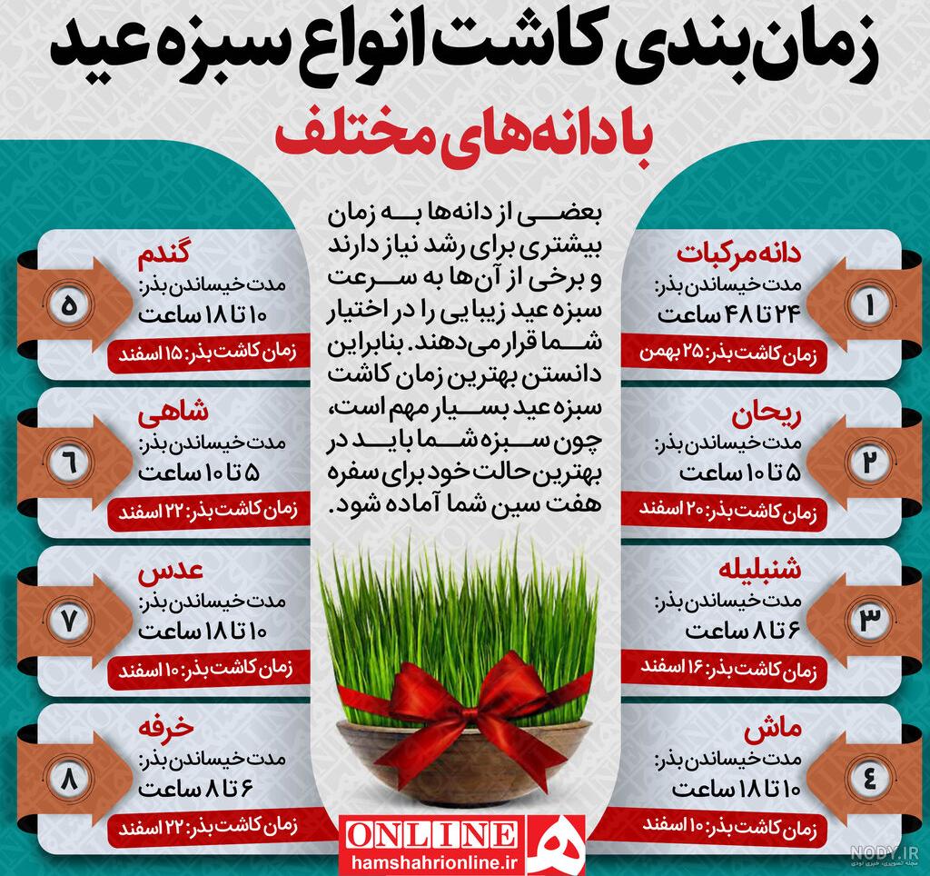 5 مدل از راحترین سبز های سفره عید 1404 + آموزش کاشت | الوگل