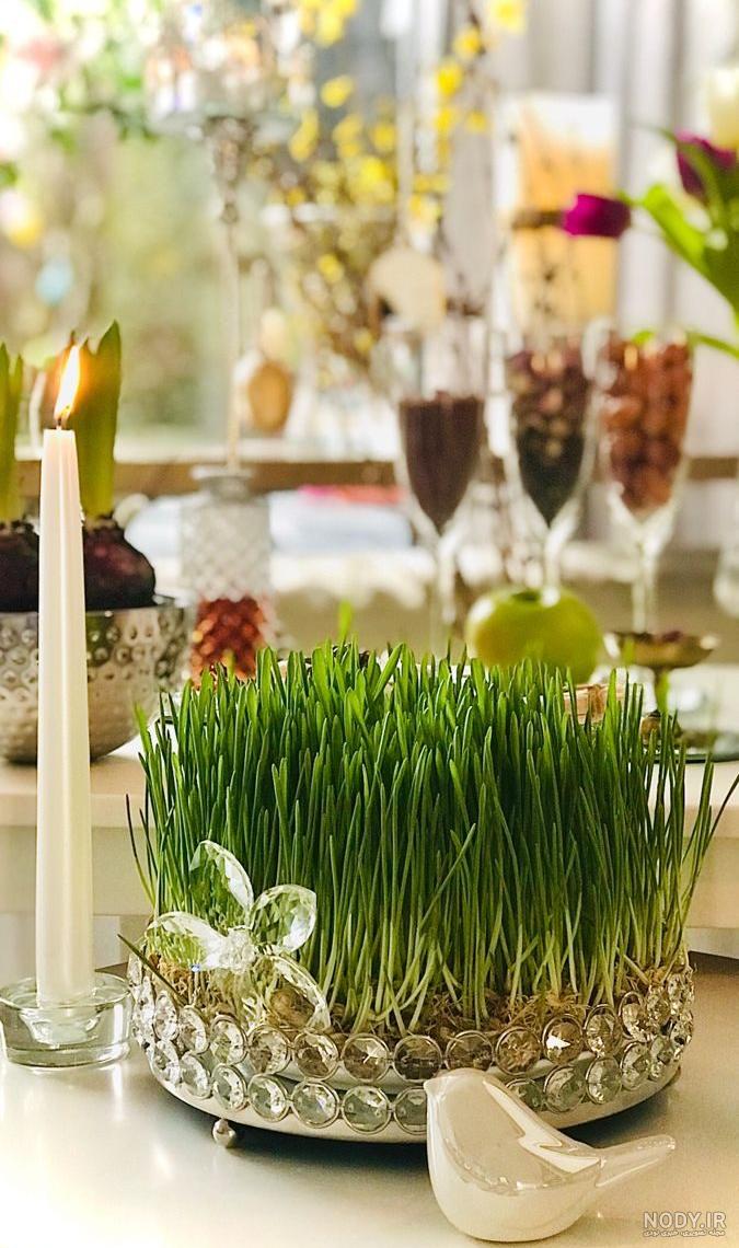 عکس سبزه برای سفره هفت سین عکس سبزه برای سفره هفت سین
